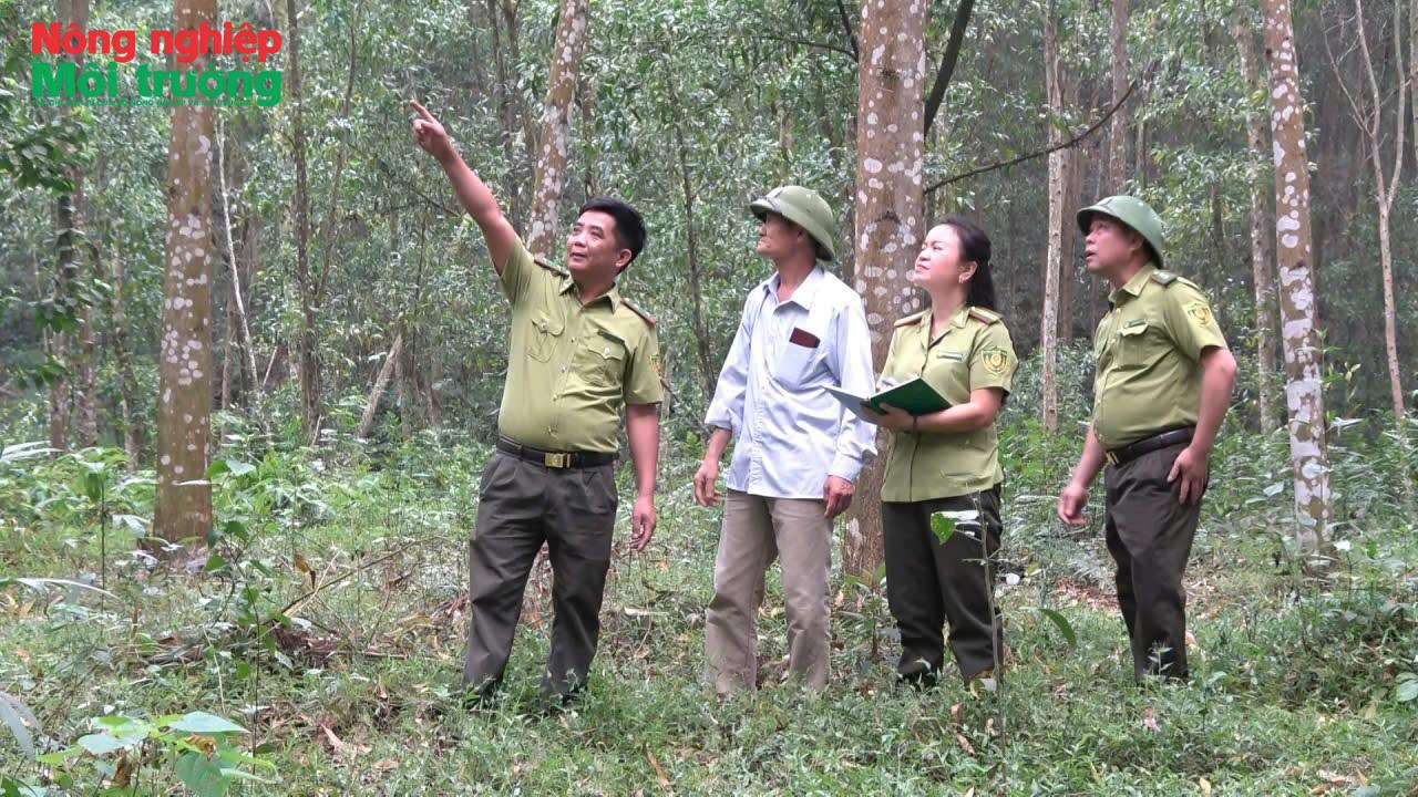 anh-1-kiem-tra-rung-trong_1780100111.jpg