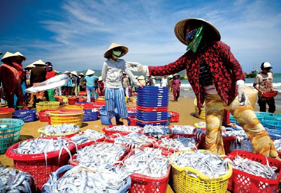 Bộ Nông nghiệp và Môi trường chuẩn hóa thủ tục cấp phép nhập khẩu thủy sản sống