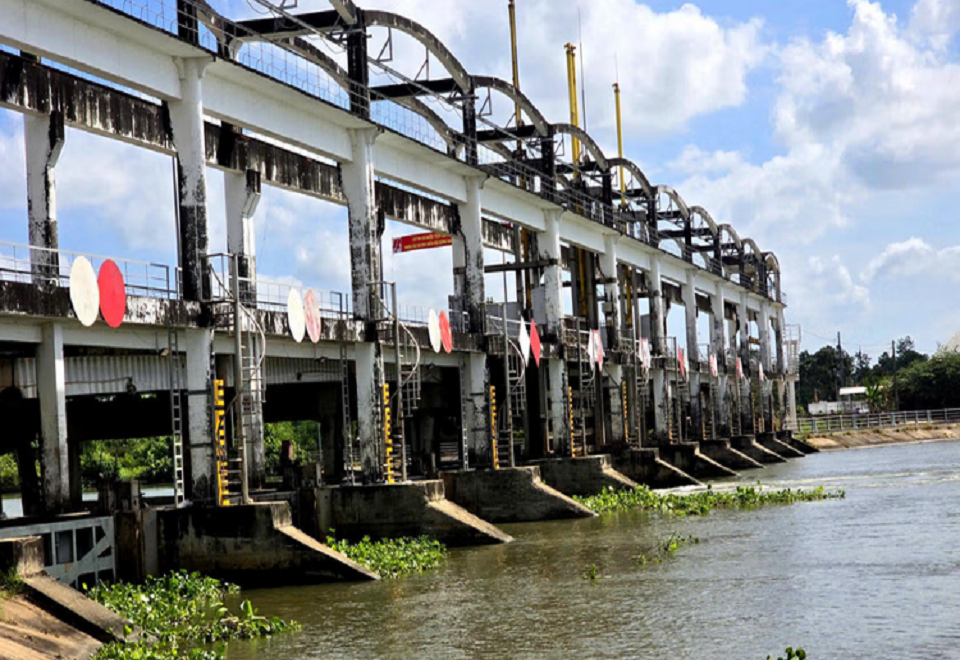 Phục hồi rừng ngập mặn ĐBSCL: Từ nhận diện vòng lặp suy thoái đến thiết kế bảo vệ bờ theo cân bằng bùn cát