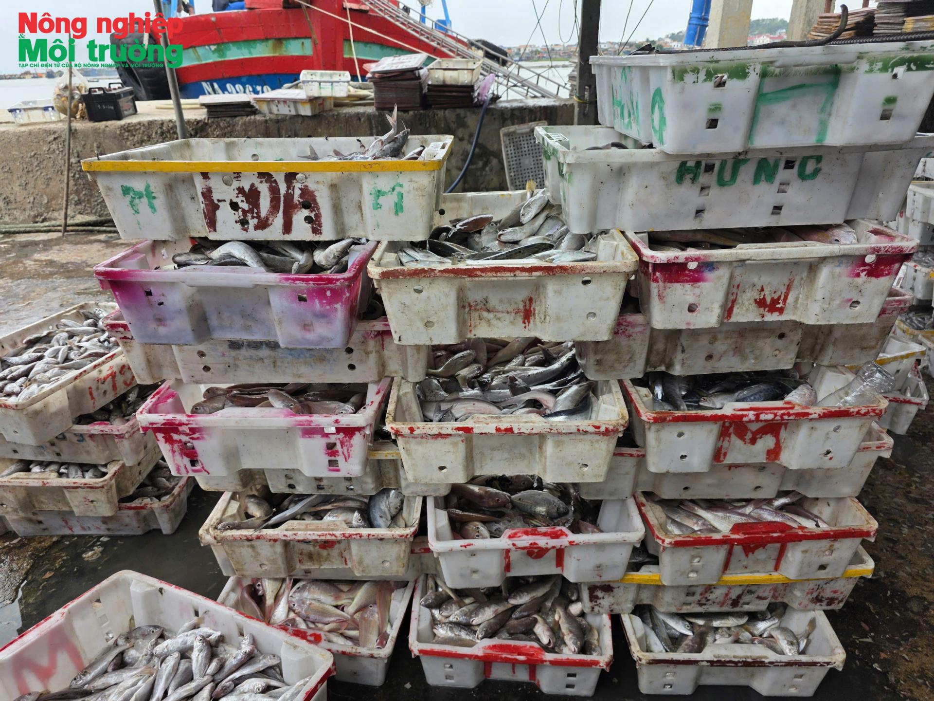 thang-cao-diem-chong-iuu-3_1788099736.jpg