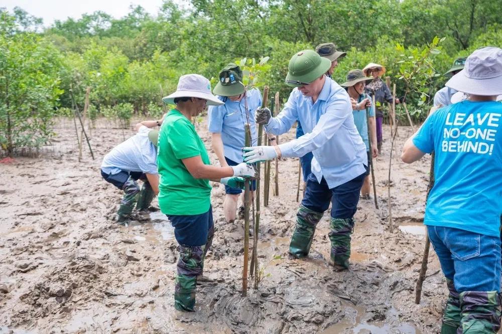 Nâng cao khả năng chống chịu, thích ứng với biến đổi khí hậu
