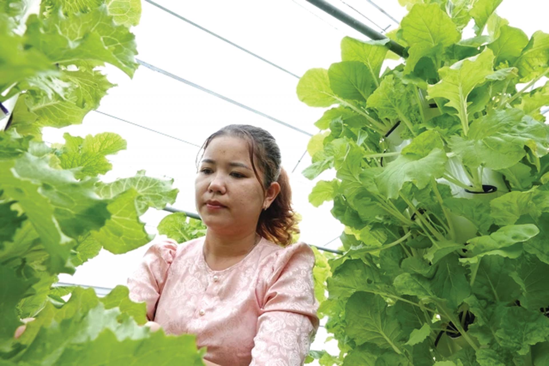 Mở không gian phát triển mới cho công tác khuyến nông