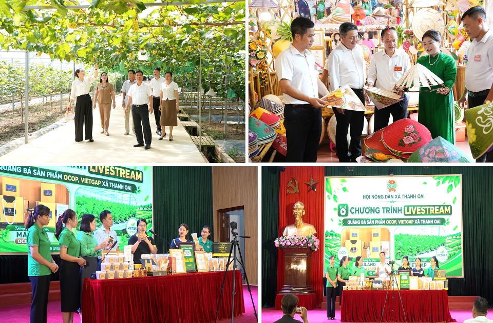 xa-thanh-oai-2_1790779646.png