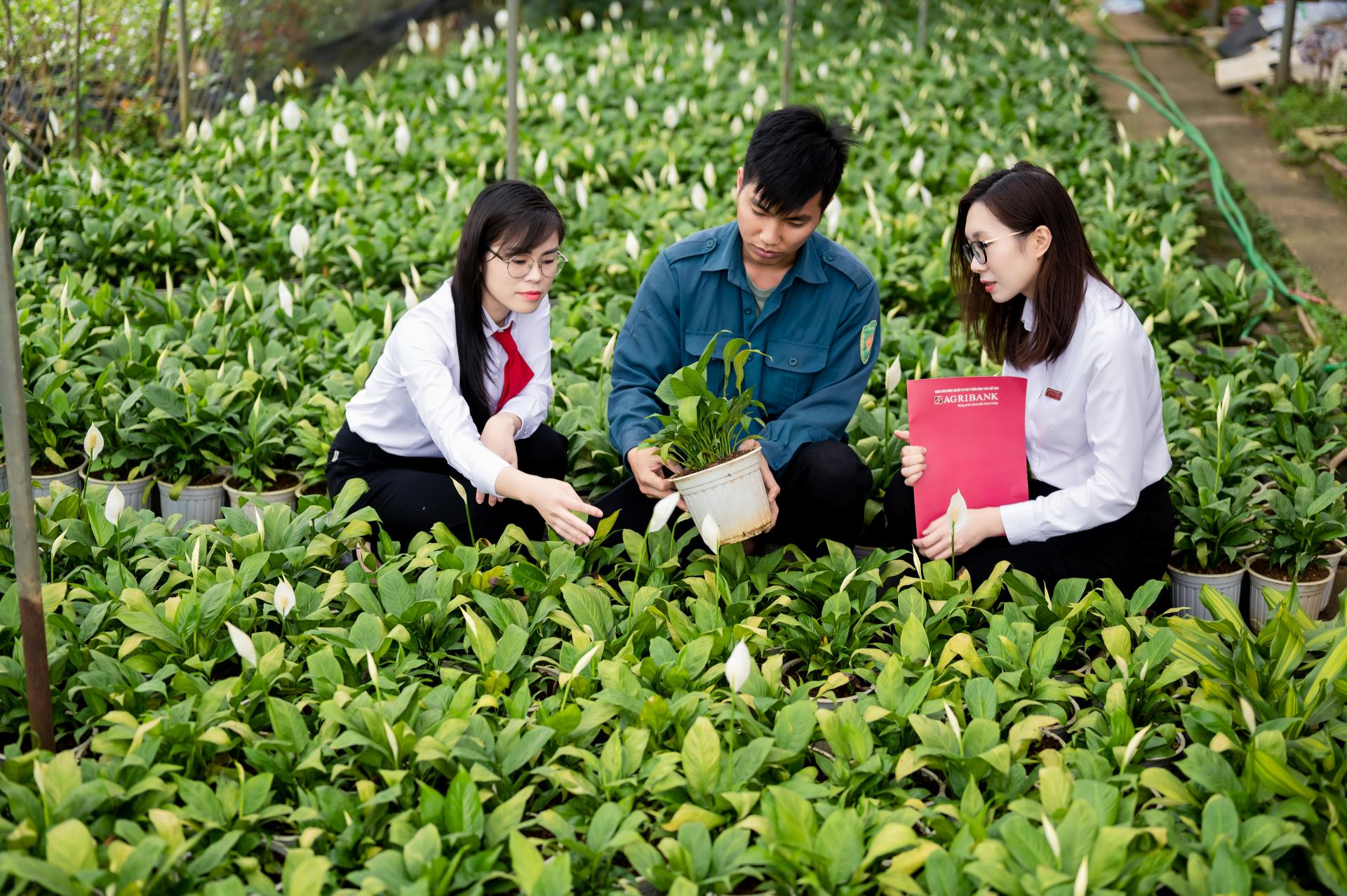 xanh_1780217584.jpg