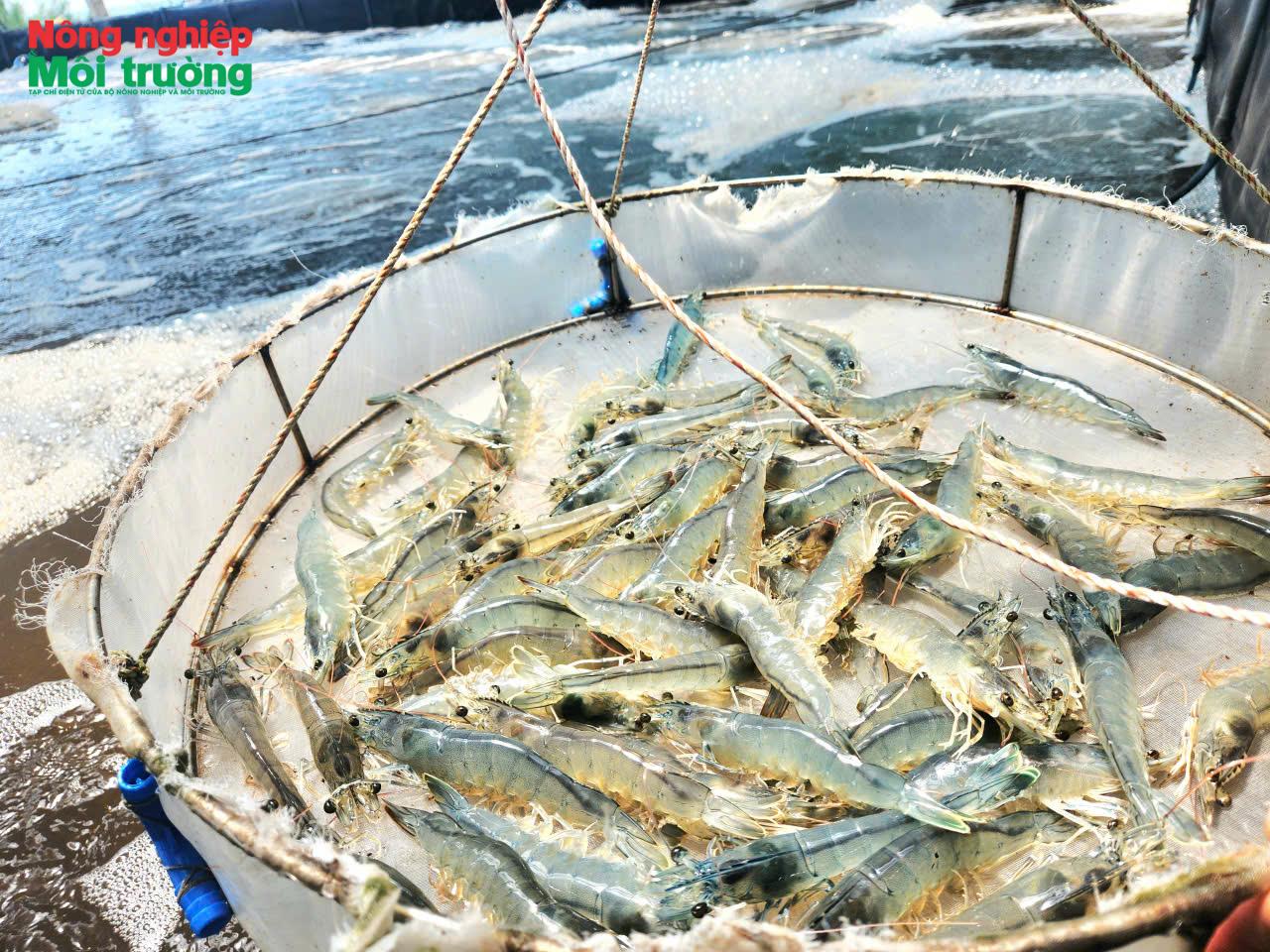 Nghệ An ban hành nhiều chính sách hỗ trợ phát triển thủy sản