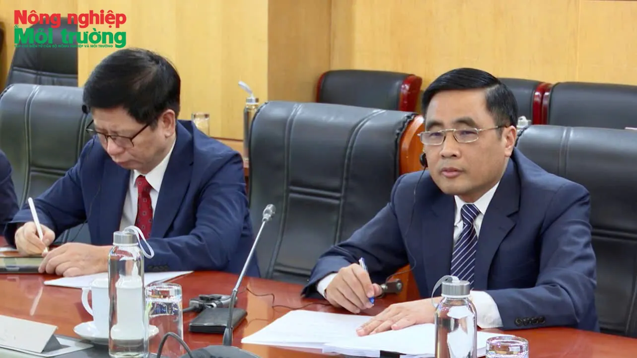 Thúc đẩy hợp tác quốc tế phát triển thị trường tín chỉ carbon rừng