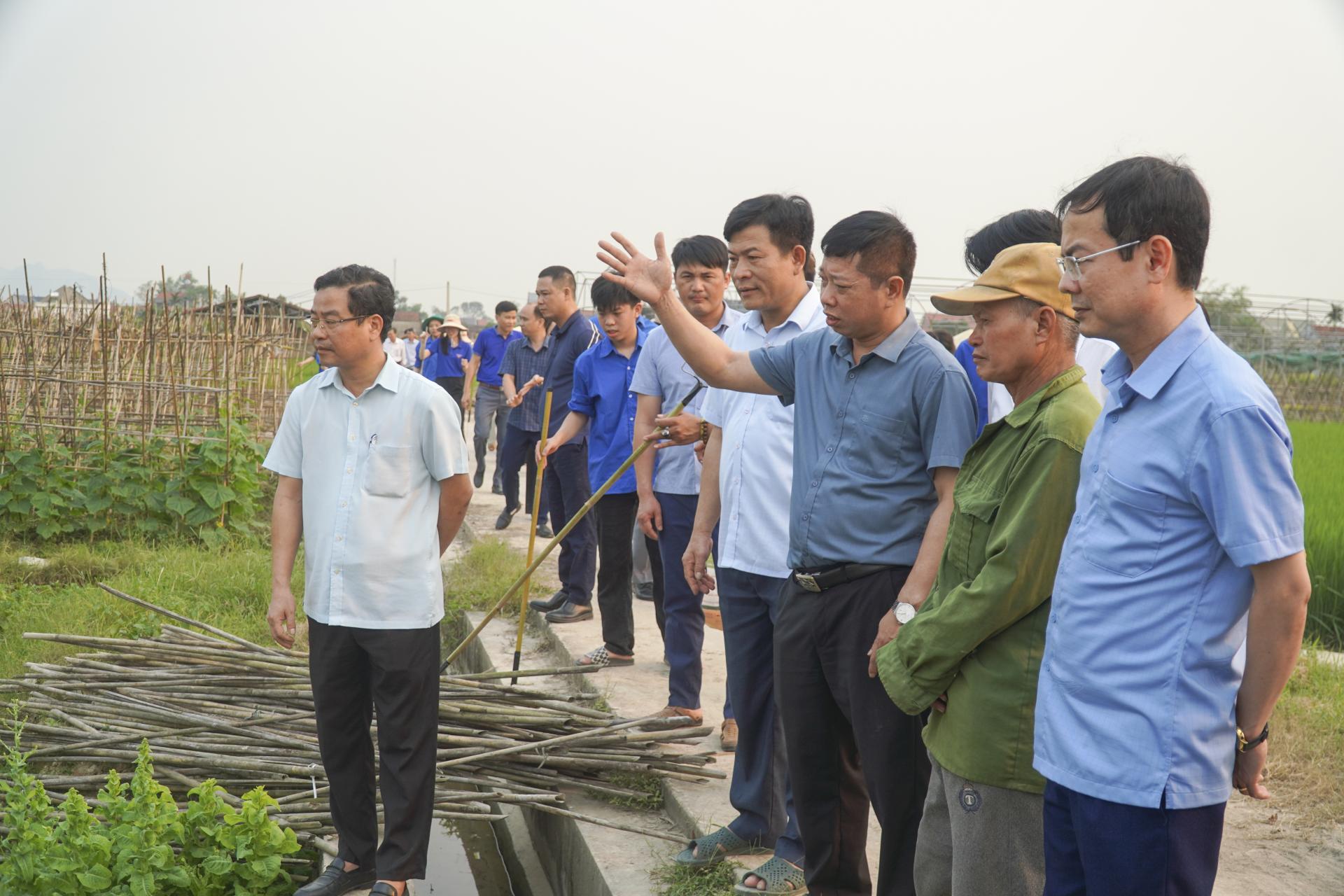 Thanh Hóa: Tập huấn sử dụng phân bón hữu cơ gắn với bảo vệ môi trường