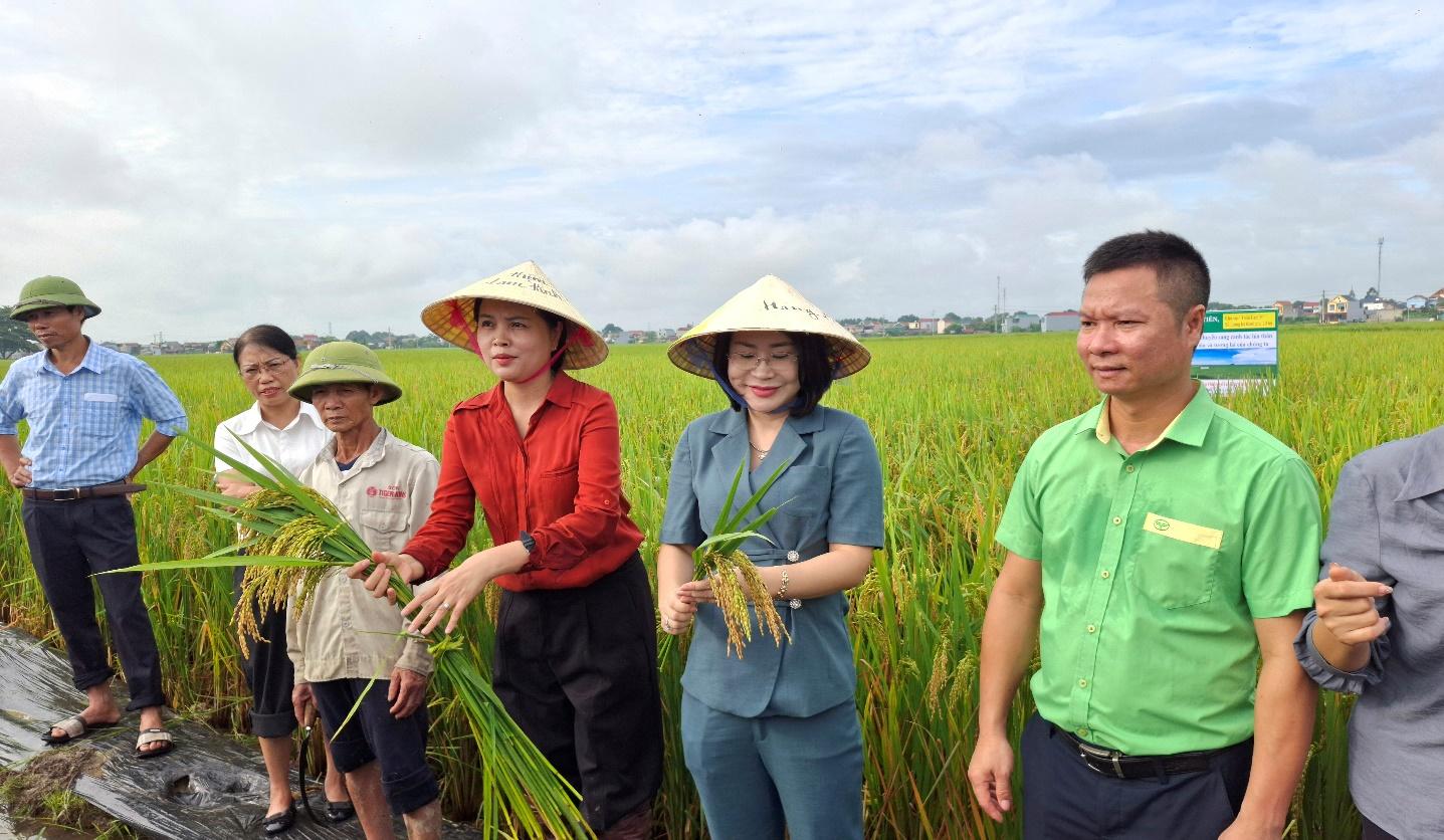 thieu-tien-2_1788884628.jpeg