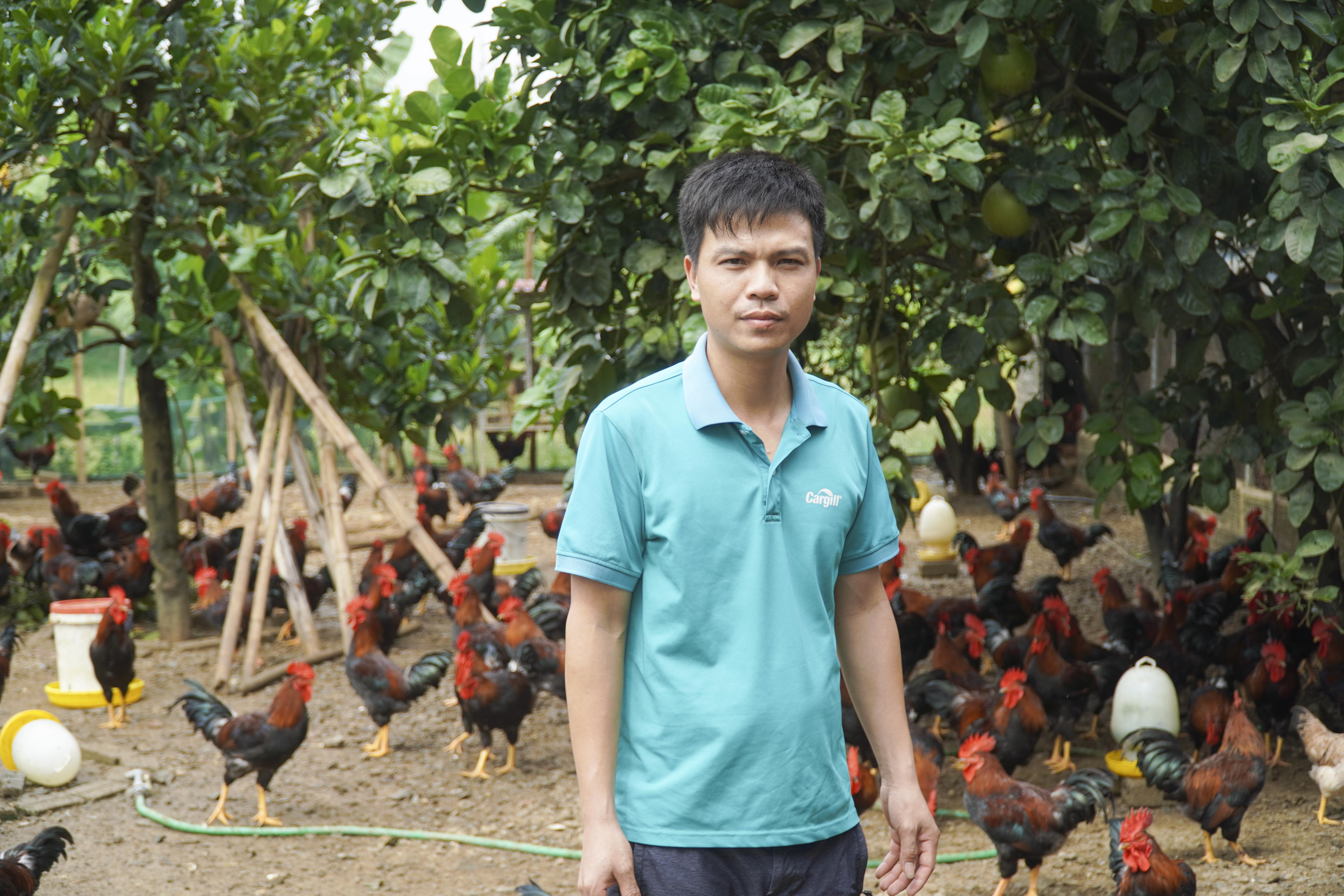 Chàng trai xứ Thanh làm giàu từ đam mê nuôi gà Lạc Thủy