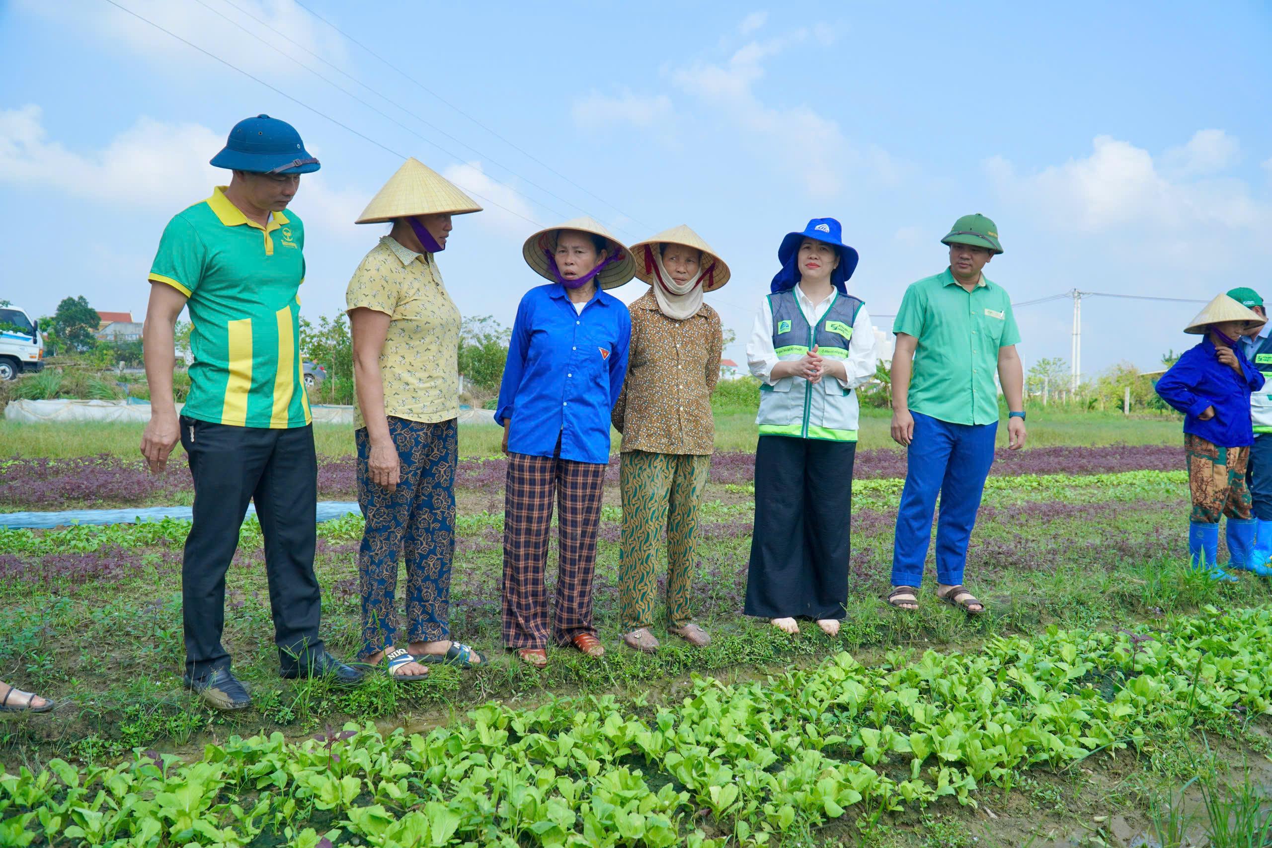 Trung tâm Khuyến nông Quốc gia hỗ trợ Thanh Hóa khôi phục sản xuất nông nghiệp sau bão số 10