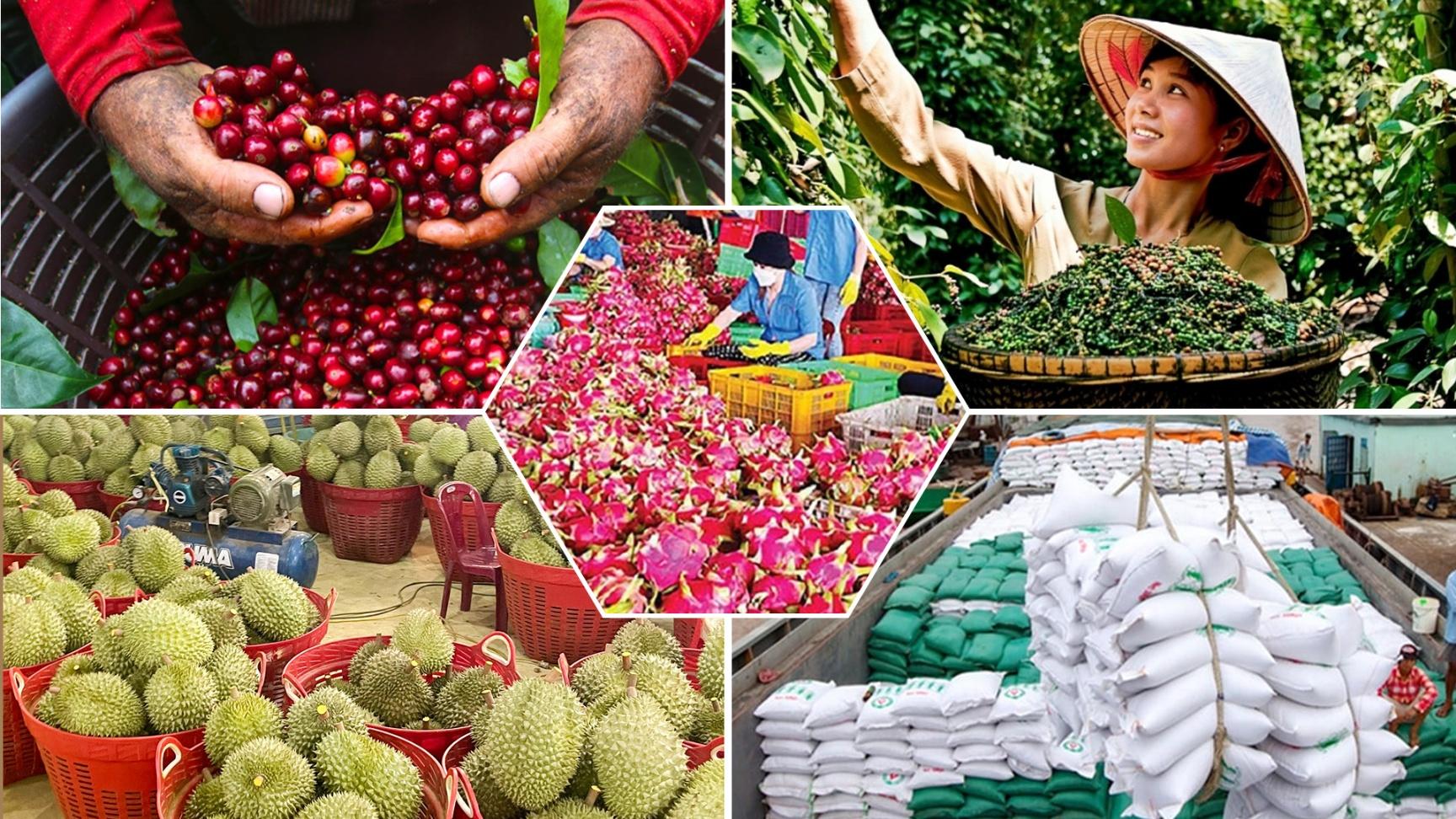 Tiêu chí và quy trình đánh giá, phân hạng sản phẩm OCOP