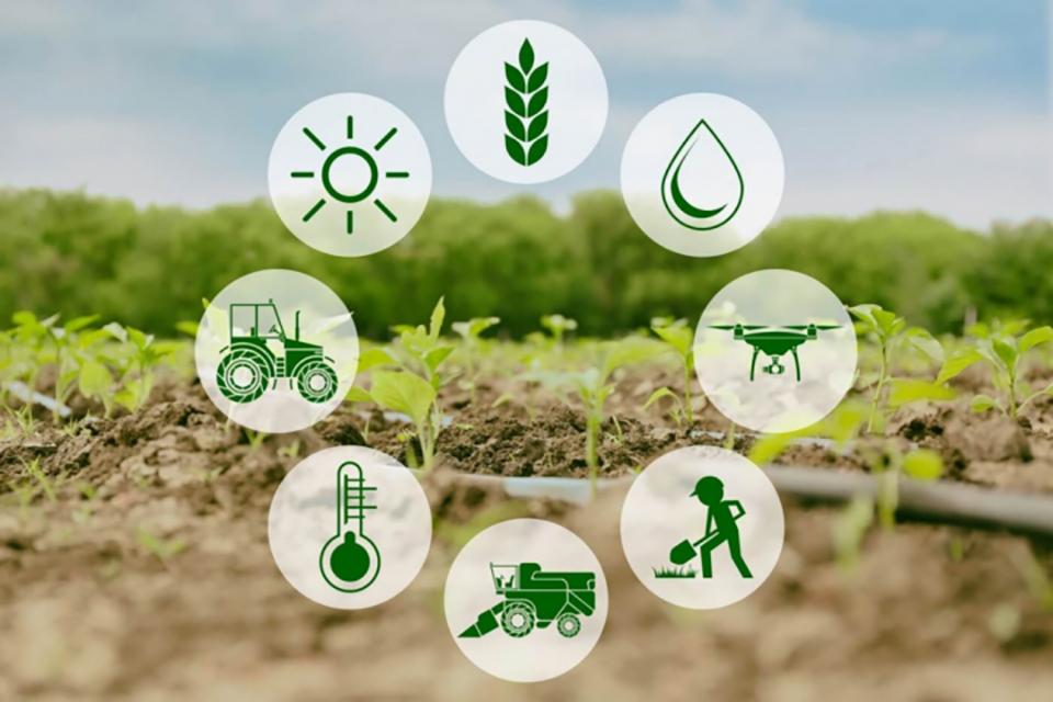 Đơn giản hoá thủ tục hành chính của 11 lĩnh vực nông nghiệp và môi trường