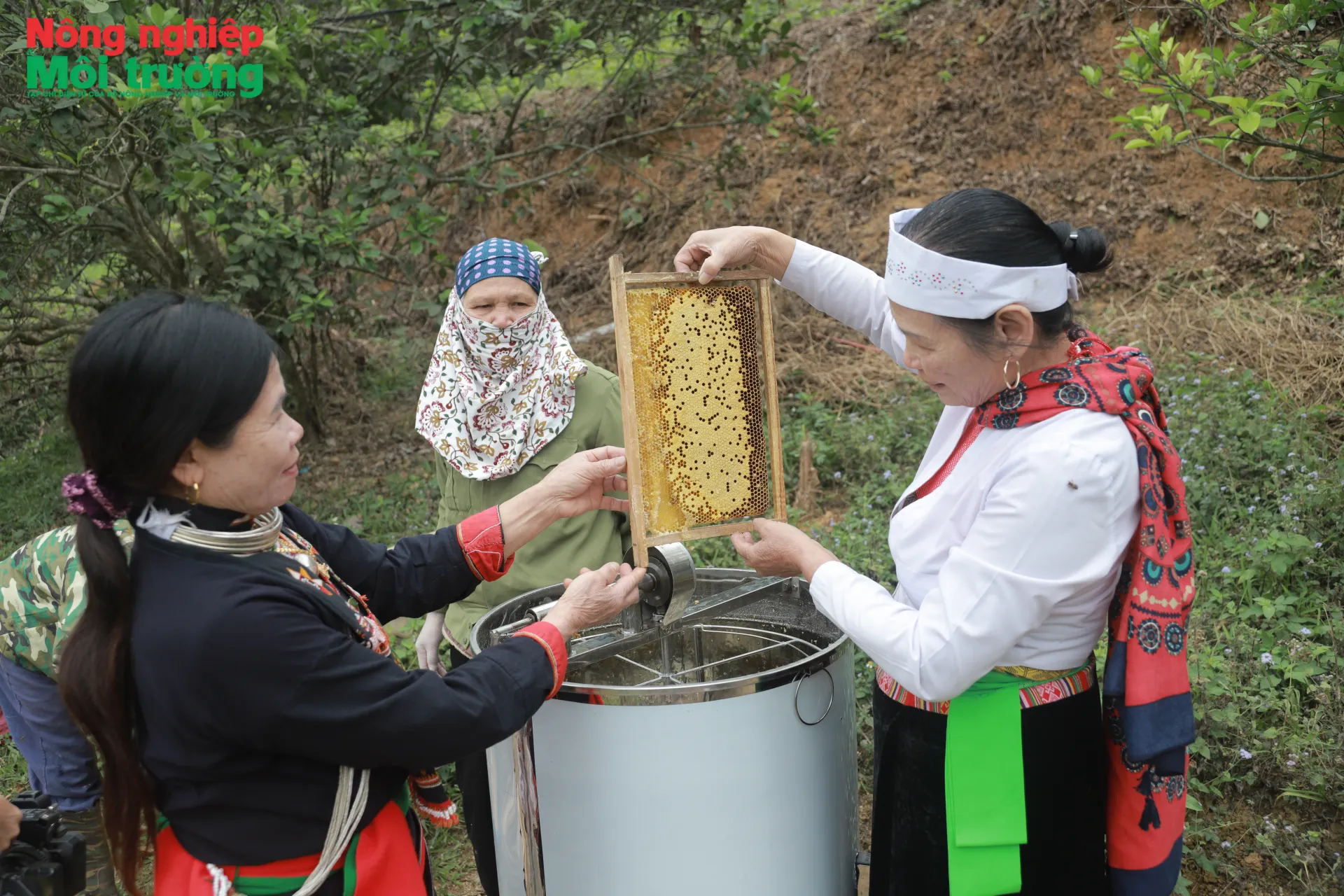 Ngọt ngào hương vị mật ong bản Dao