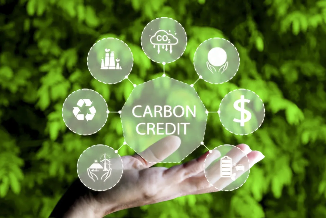 Quy định về sàn giao dịch các-bon trong nước