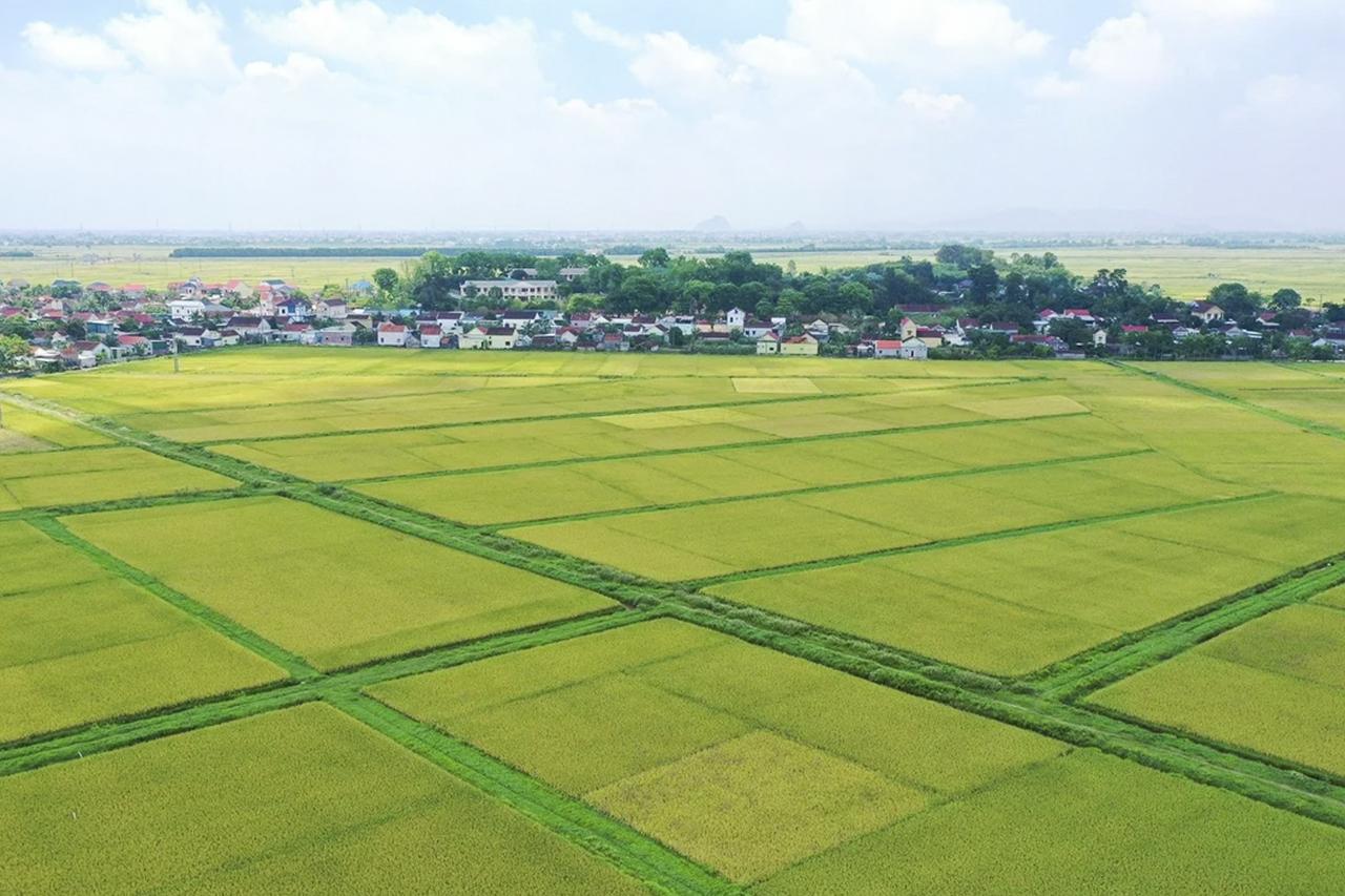 Hộ gia đình, cá nhân có nhiều thửa đất được chọn 01 thửa đất để áp dụng tính tiền sử dụng đất theo chính sách của Nghị quyết số 254/2025/QH15