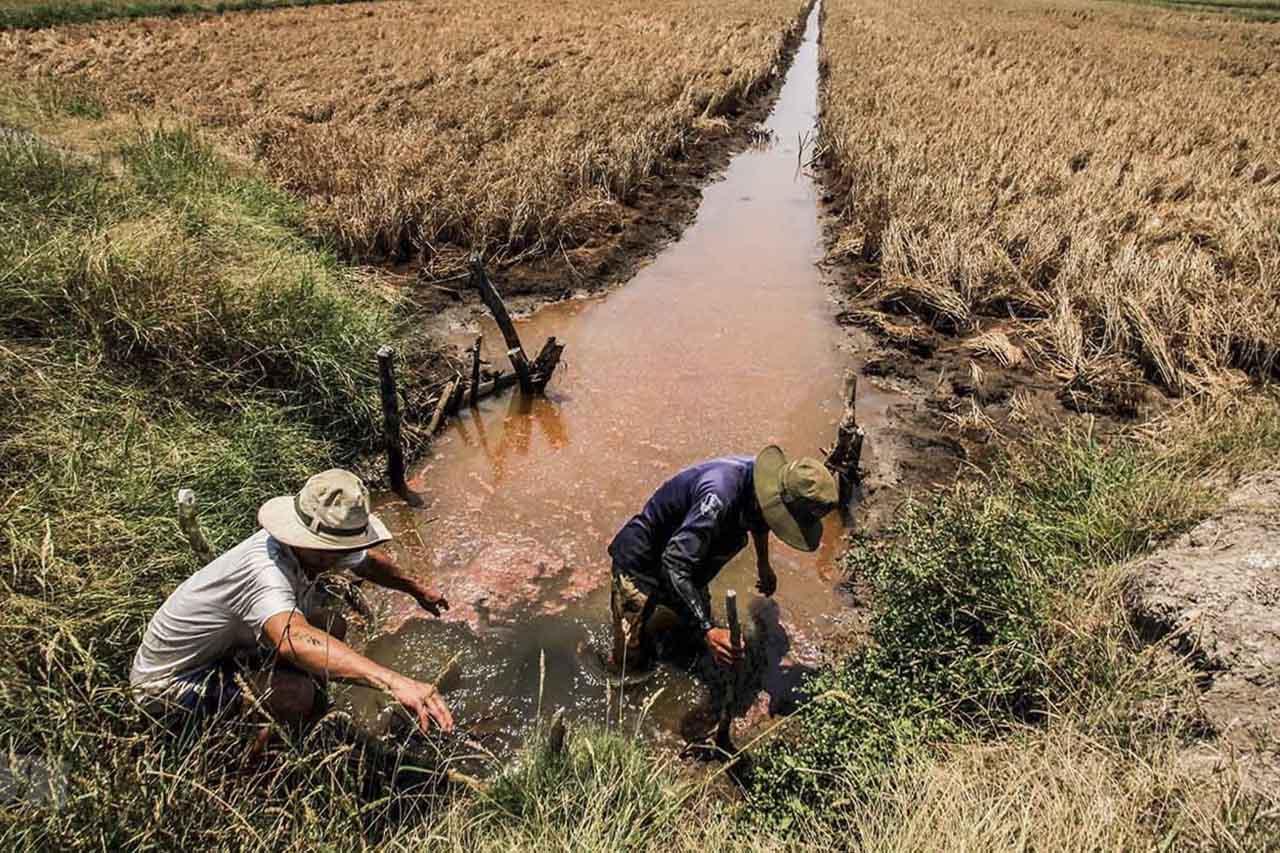 Chủ động ứng phó hạn hán, xâm nhập mặn năm 2026