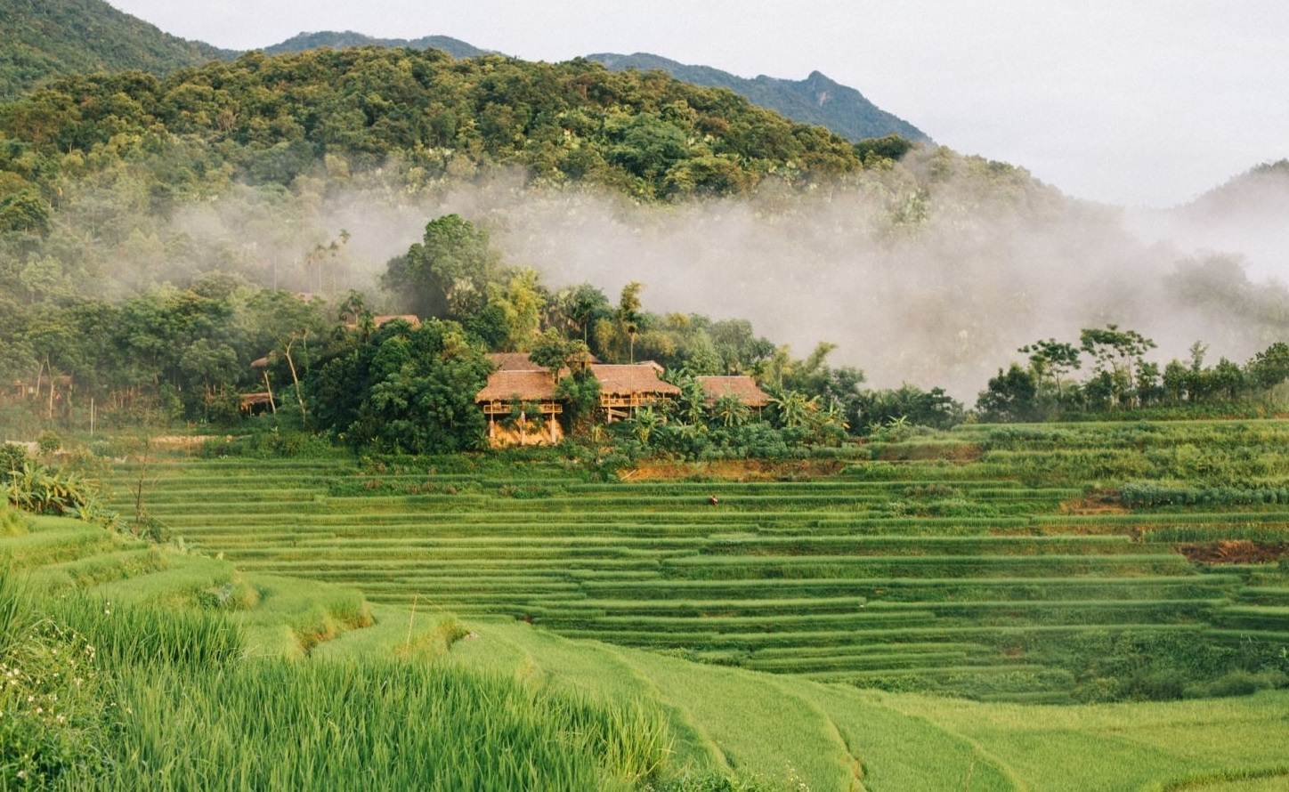 Thanh Hóa: Ban hành chính sách đặc thù về đất đai dành riêng cho đồng cho đồng bào dân tộc thiểu số