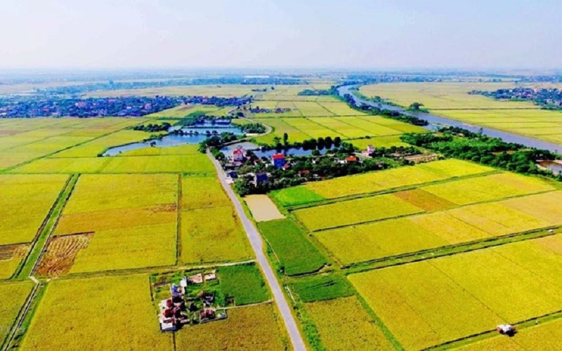 Quảng Nam tập trung sửa đổi cơ chế, chính sách đất đai
