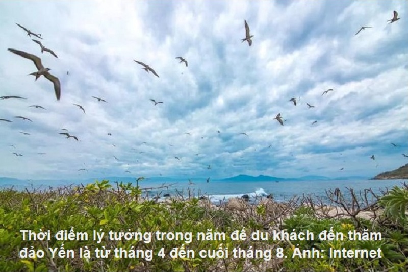 Đảo Yến Nha Trang sở hữu bãi biển đôi độc đáo, là nơi khai thác trữ lượng yến sào lớn nhất Việt Nam