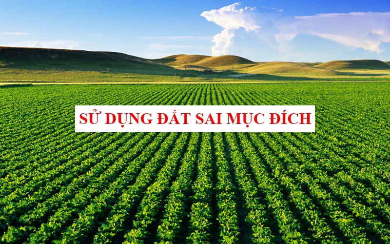 Trong 12 tháng sử dụng đất nông nghiệp không đúng mục đích có thể bị thu hồi