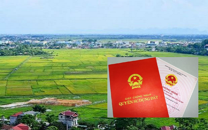 Cần lưu ý khi muốn gom đất nông nghiệp theo Luật Đất đai 2024