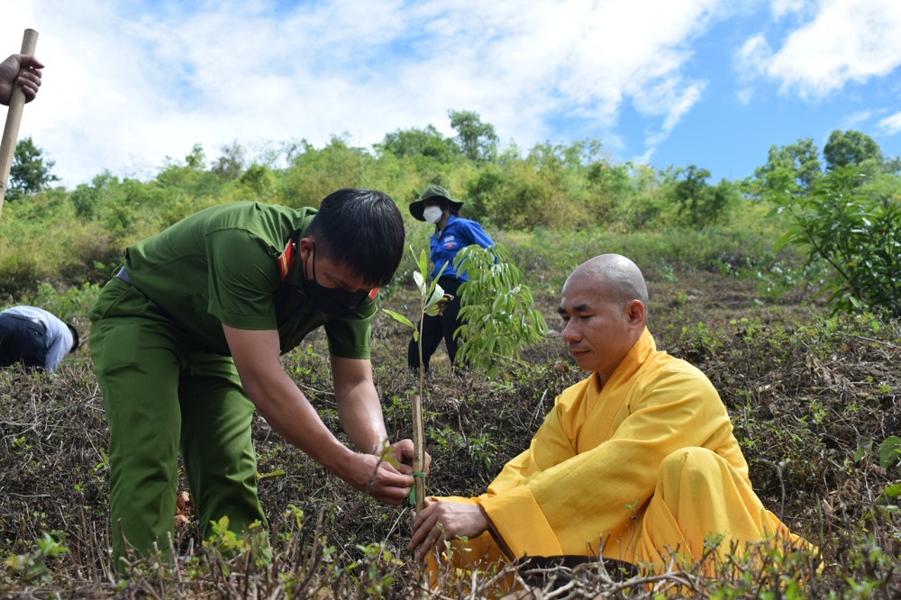 Phóng sự ảnh: Chương trình “Chùa xanh” trồng cây ở chùa Phước Vân, Đắk Lắk