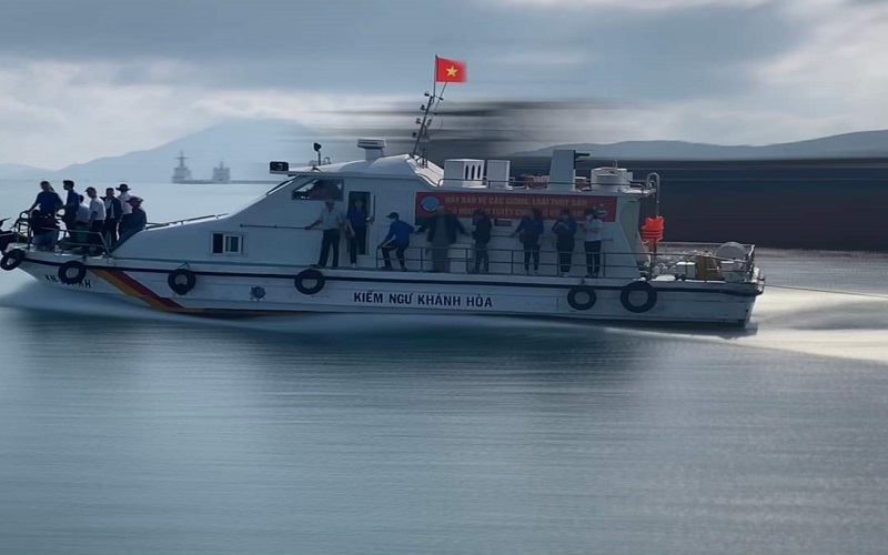 Thả giống ra biển, tái tạo nguồn lợi dưới đáy đại dương