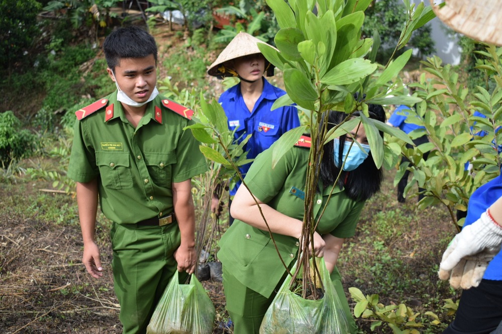 Phóng sự ảnh: Chương trình “Chùa xanh” trồng cây ở chùa Phước Vân, Đắk Lắk