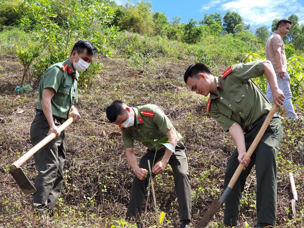 Phóng sự ảnh: Chương trình “Chùa xanh” trồng cây ở chùa Phước Vân, Đắk Lắk