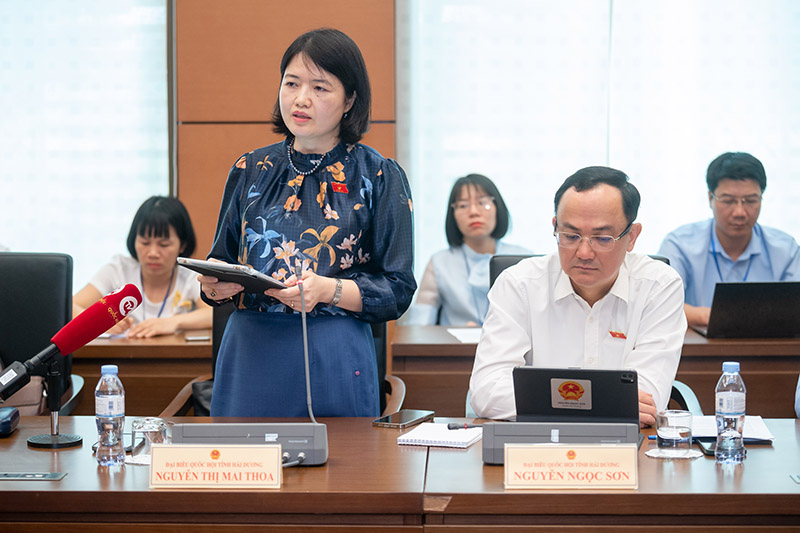 Thảo luận tổ 14: Đảm bảo đất xây dựng công trình văn hoá nghệ thuật cho đồng bào dân tộc thiểu số và miền núi