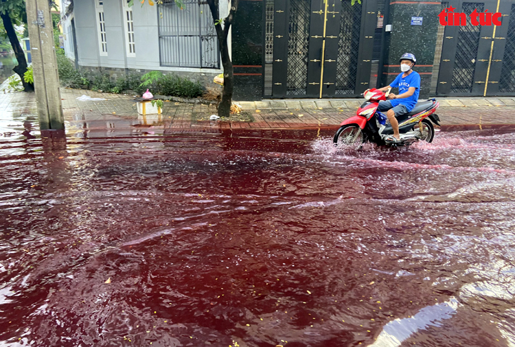 TP Hồ Chí Minh: Xuất hiện màu nước lạ bất thường sau mưa lớn