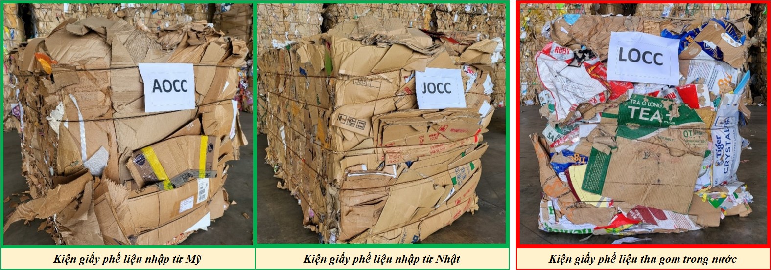 Title: Thực trạng giấy phế liệu carton tại Việt Nam