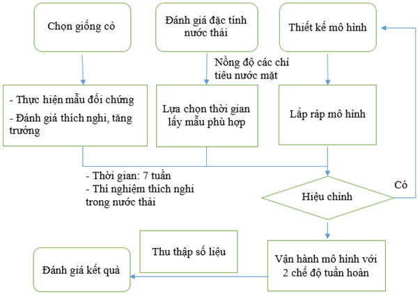 Đánh giá khả năng xử lý nước kênh Văn Thánh bằng mô hình trồng cỏ Vetiver tuần hoàn nước kết hợp sỏi - cát