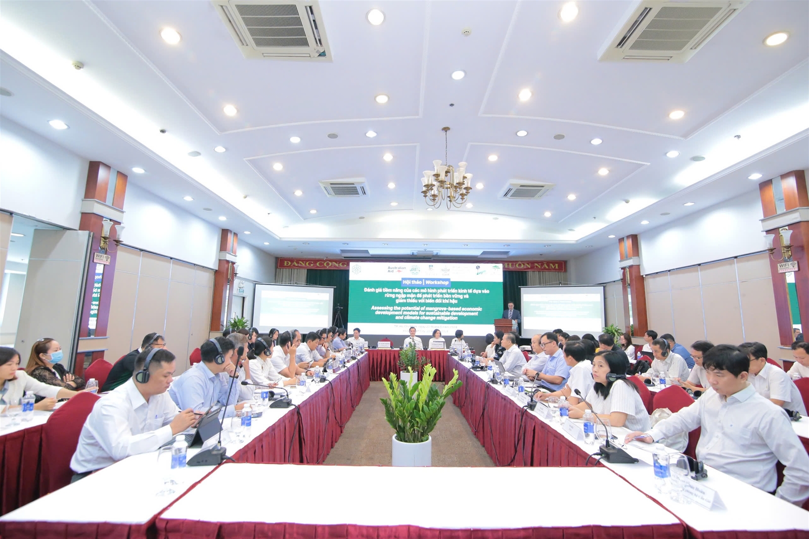 Phát triển kinh tế dựa vào rừng ngập mặn để phát triển bền vững và giảm thiểu với biến đổi khí hậu