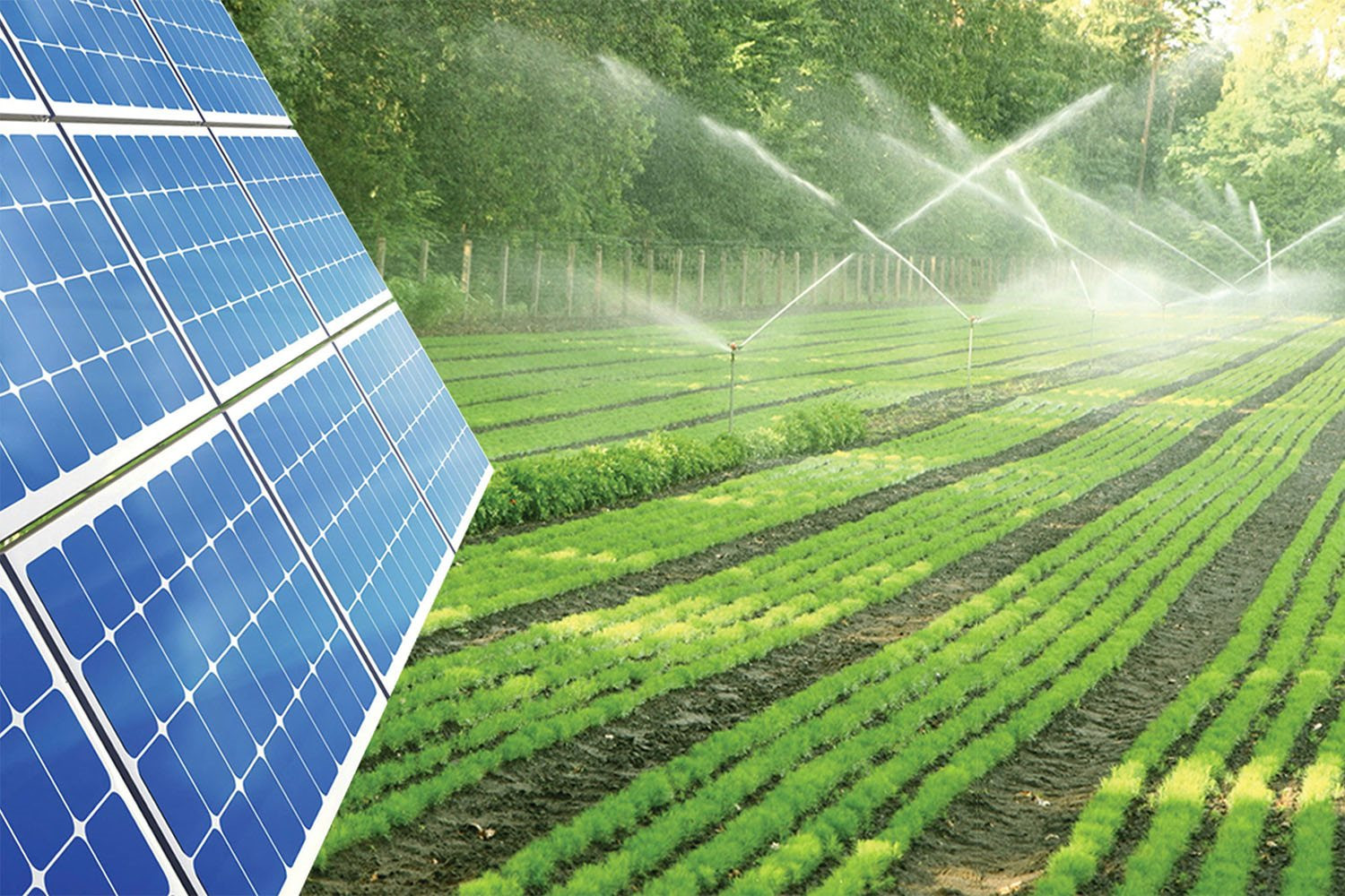 Triển khai hiệu quả các chương trình khoa học công nghệ biến đổi khí hậu, áp dụng trong quản lý, thực tiễn sản xuất