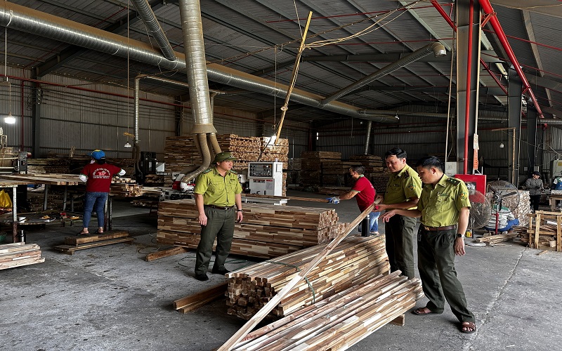 Kiểm lâm Đoan Hùng chủ động triển khai công tác bảo vệ và phát triển rừng bền vững