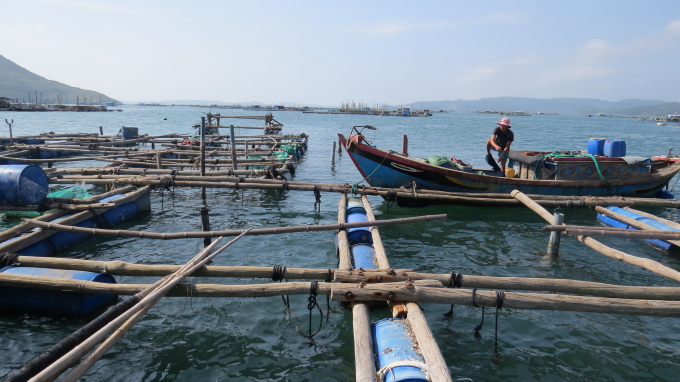 Ám ảnh rác thải nhựa đại dương và WWF kêu gọi cộng đồng chung tay