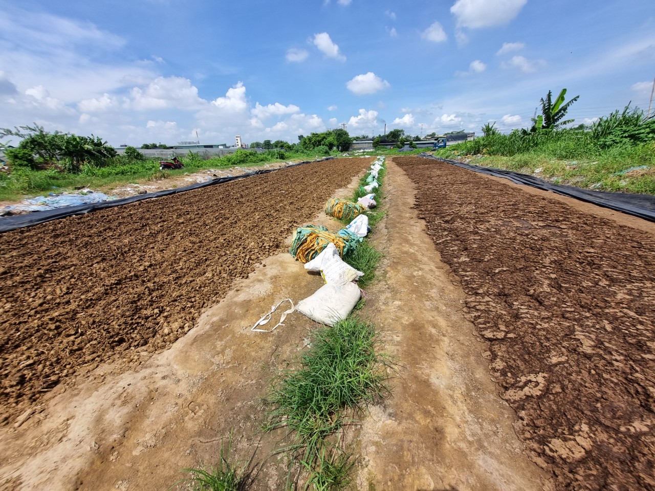 Ô nhiễm ở các khu dân cư xã chuẩn nông thôn mới xã Đông Thạnh, huyện Hóc Môn