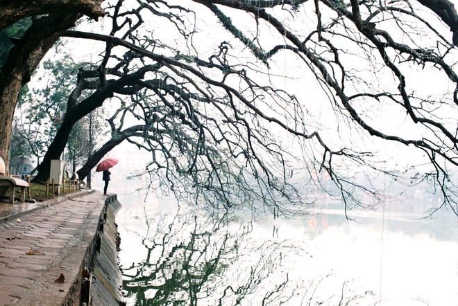 Thời tiết ngày 7/12: Miền Bắc tiếp tục rét đậm, miền Trung mưa lớn, miền Nam mưa rào và dông