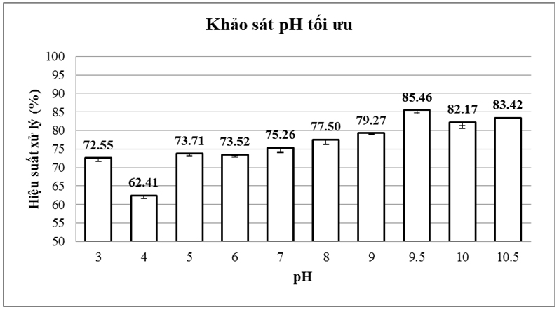 Khảo sát khả năng xử lý Methylene Blue bằng than Mắc-ca được hoạt hóa bằng hóa chất K2CO3
