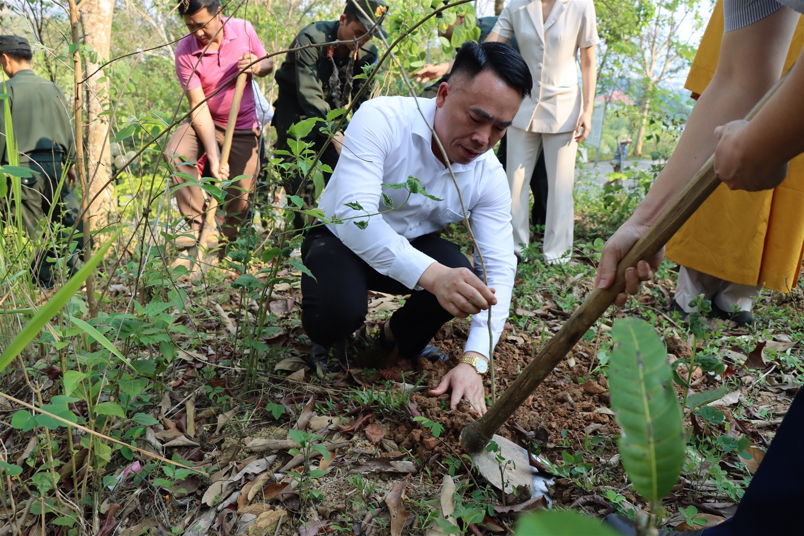 Tạp chí Tài nguyên và Môi trường trồng 663 cây tại chùa Linh Quang, Điện Biên