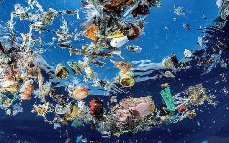 WWF kêu gọi lệnh cấm toàn cầu đối với các sản phẩm nhựa