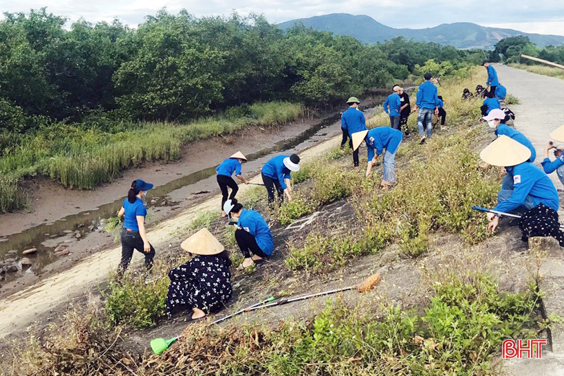Các địa phương, đơn vị ở Hà Tĩnh tích cực hưởng ứng Ngày Môi trường thế giới