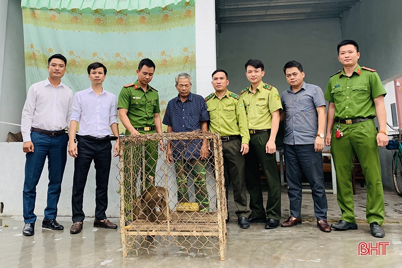 Vườn Quốc gia Vũ Quang tái thả gần 300 cá thể động vật hoang dã về môi trường tự nhiên
