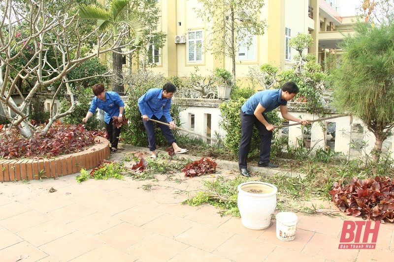 Xã Hoằng Đại (Thanh Hóa) ra quân tổng dọn vệ sinh môi trường