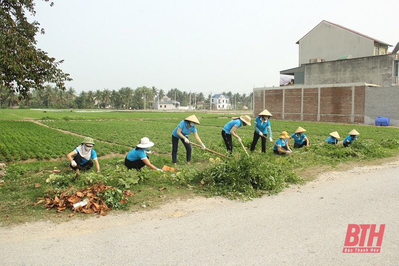 Xã Hoằng Đại (Thanh Hóa) ra quân tổng dọn vệ sinh môi trường