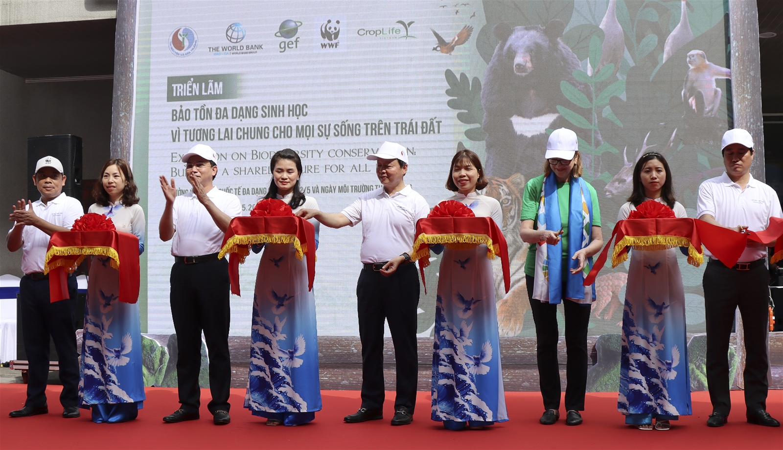 Bộ trưởng Bộ TN&MT Trần Hồng Hà: Chúng ta phải nhận thức rõ hơn tầm quan trọng của việc bảo vệ môi trường