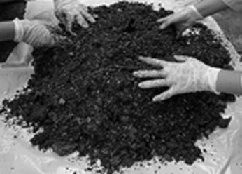 Tối ưu tỷ lệ trong phân bón hữu cơ vi sinh từ nguồn vỏ điều và bùn ao nuôi cá tra