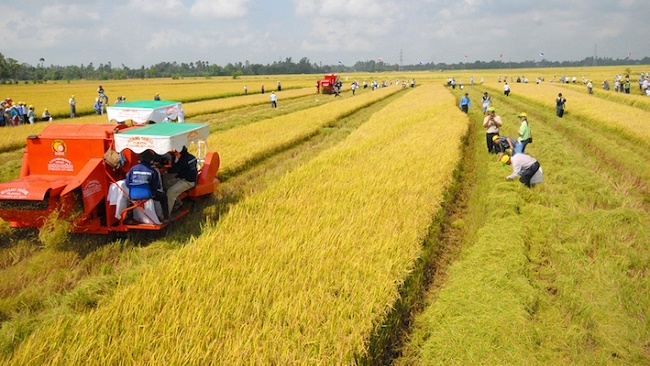 Tích tụ, tập trung đất đai cho phát triển nông nghiệp