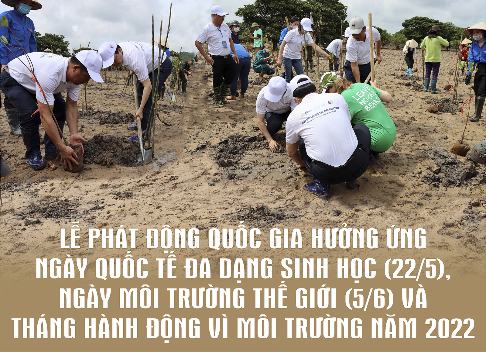 Bộ trưởng Bộ TN&MT Trần Hồng Hà: Chúng ta phải nhận thức rõ hơn tầm quan trọng của việc bảo vệ môi trường